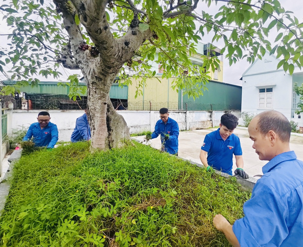 Đoàn Thanh niên Quacontrol lan tỏa tinh thần ‘Ngày Chủ nhật xanh’ Đoàn Thanh niên Quacontrol lan tỏa tinh thần ‘Ngày Chủ nhật xanh’