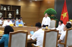 Điện gió ngoài khơi Việt Nam - Phân tích kết luận của Chính phủ (tháng 5/2026)