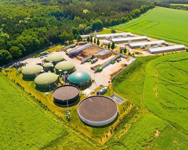 Sinh khối công nghiệp - Nguồn năng lượng mới giúp trung hòa carbon