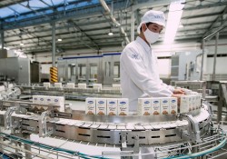 Tăng cường hỗ trợ, thúc đẩy doanh nghiệp sử dụng năng lượng hiệu quả