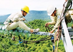 Nguồn vốn ODA: 10 năm đồng hành cùng EVNNPT