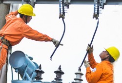 Công ty Tư vấn điện miền Nam: Vươn lên từ năng lực quản lý