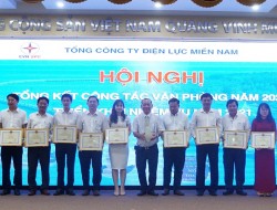 Khối văn phòng EVNSPC hoàn thành tốt nhiệm vụ trong bối cảnh dịch Covid-19