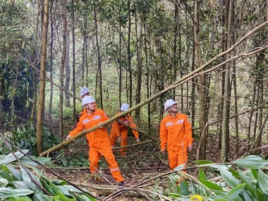 Hiệu quả từ việc đảm bảo hành lang an toàn lưới điện tại Thanh Hóa