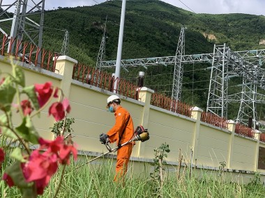 Thủy điện An Khê - Ka Nak hưởng ứng Ngày Môi trường Thế giới năm 2024