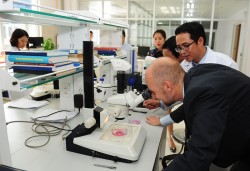 VPI tập trung phát triển sản phẩm khoa học chất lượng cao