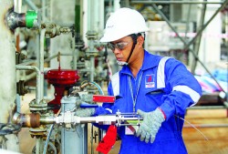 Nhiều doanh nghiệp dầu khí đạt các chỉ số ấn tượng