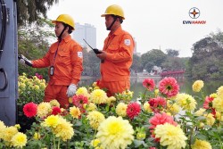 EVNHANOI lên phương án đảm bảo điện dịp Quốc khánh 2/9