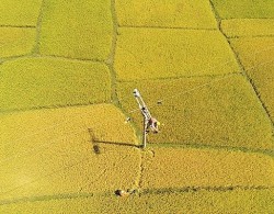 Công ty Điện lực Hà Tĩnh: 30 năm xây dựng và phát triển