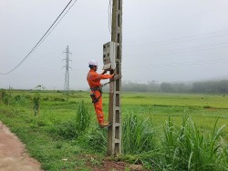 PC Hà Tĩnh: Hiệu quả từ thực hiện các loại hình dịch vụ điện