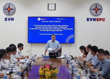 Chủ tịch HĐTV EVN làm việc với Tổng công ty Điện lực miền Nam