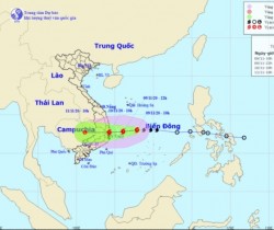 Công ty DHD thực hiện các giải pháp ứng phó với bão số 12
