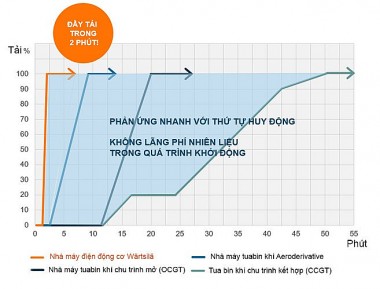 Việt Nam cần bao nhiêu công suất năng lượng tái tạo là đủ?