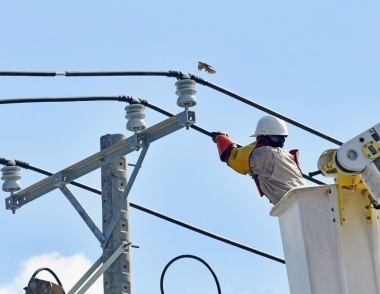 Điện lực miền Nam tiếp tục đẩy mạnh phong trào ‘10 nghìn sáng kiến’