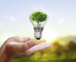 Để mùa xuân tuần hoàn theo quy luật của tự nhiên