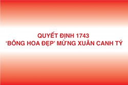 Quyết định 1743 - ‘Bông hoa đẹp’ mừng xuân Canh Tý