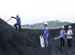 Trạm giám định Việt Bắc ngày càng ổn định phát triển