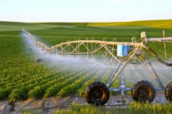 Vai trò nguồn điện trong nông nghiệp công nghệ cao