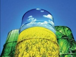 Biomass - Nguồn năng lượng thân thiện với môi trường
