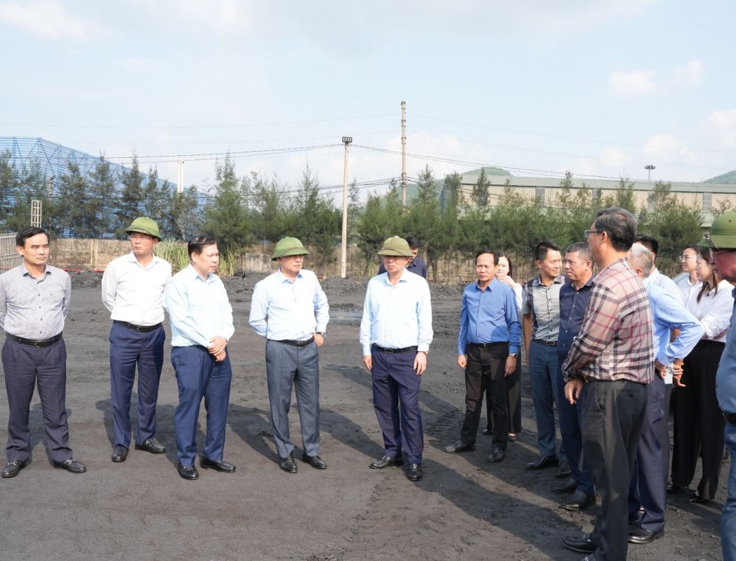 Tình hình sản xuất, kinh doanh và công tác sáp nhập của Công ty Chế biến than Quảng Ninh và than Hòn Gai