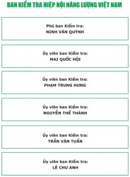 Ban kiểm tra - Hiệp hội Năng lượng Việt Nam